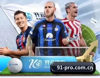 91制片合集 APP 深度功能