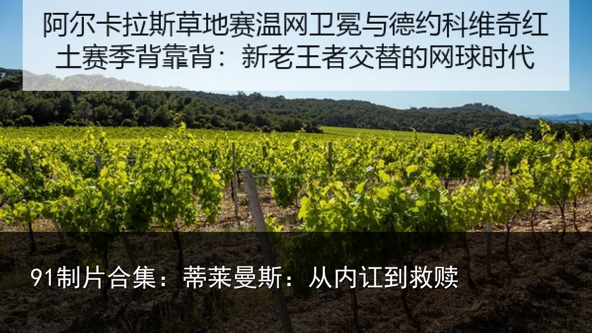 91制片合集：蒂莱曼斯：从内讧到救赎