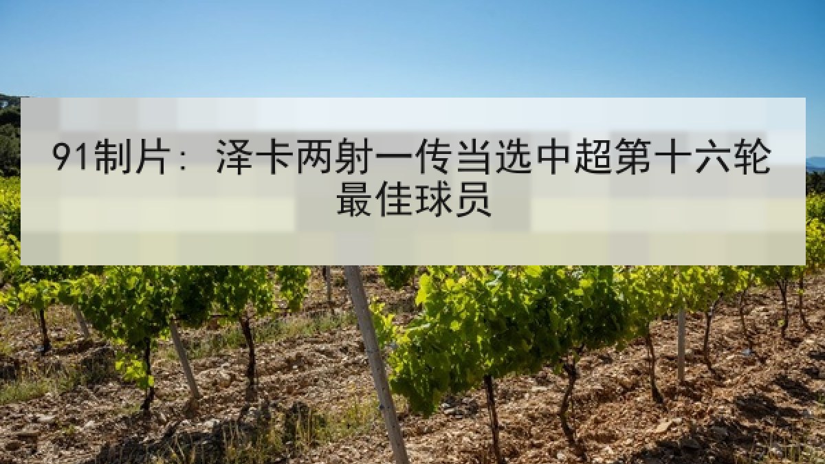 91制片: 泽卡两射一传当选中超第十六轮最佳球员