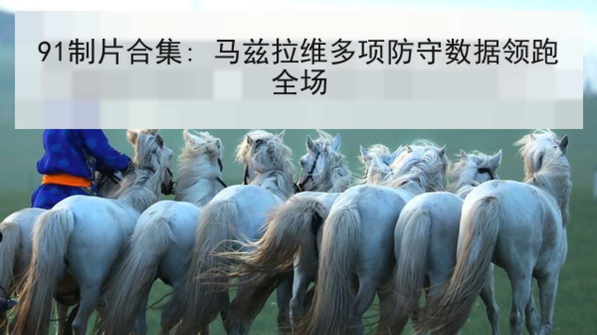 91制片合集: 马兹拉维多项防守数据领跑全场
