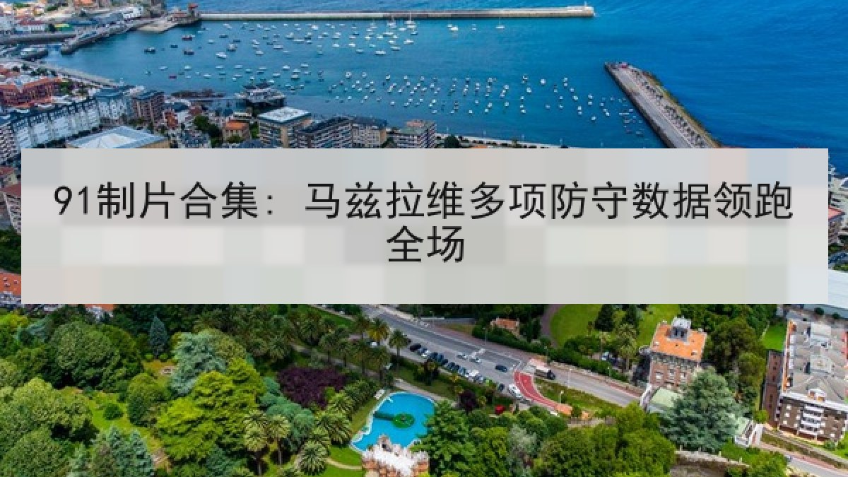 91制片合集: 马兹拉维多项防守数据领跑全场
