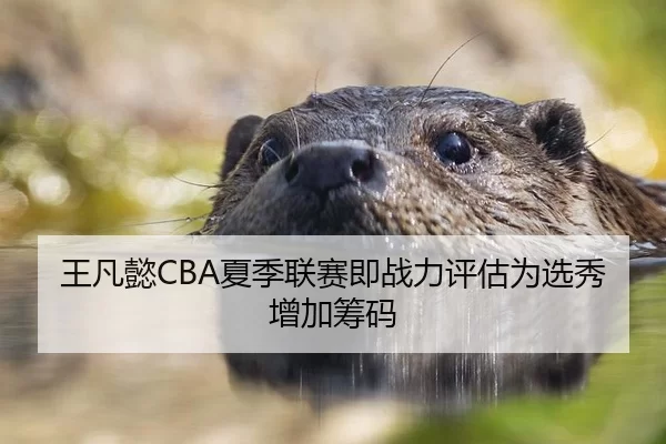 王凡懿CBA夏季联赛即战力评估为选秀增加筹码