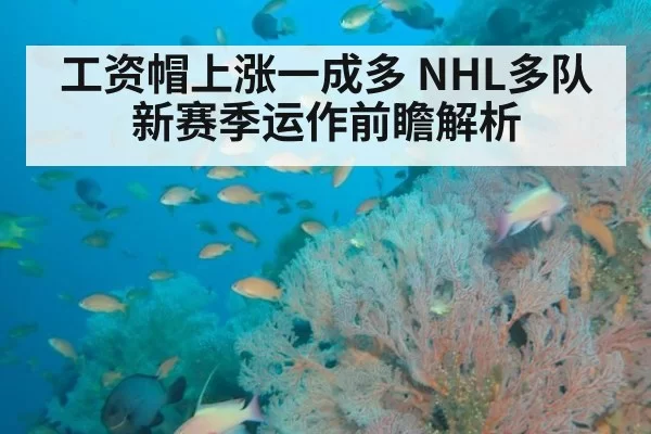 工资帽上涨一成多 NHL多队新赛季运作前瞻解析